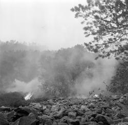 Skogbrann i Leksvik sett fra marinebåten Troll ute på fjorde