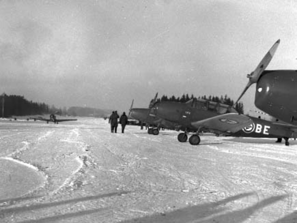 Hamar flyplass, Stavsberg, åpningsdagen 17.11.1950. Treningsfly fra Luftforsvarets flyskole av typen Fairchild Cornell.