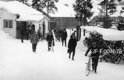 "Dr. P. mars 1957" [Dr. P. er forkortelse for Drammenselvens