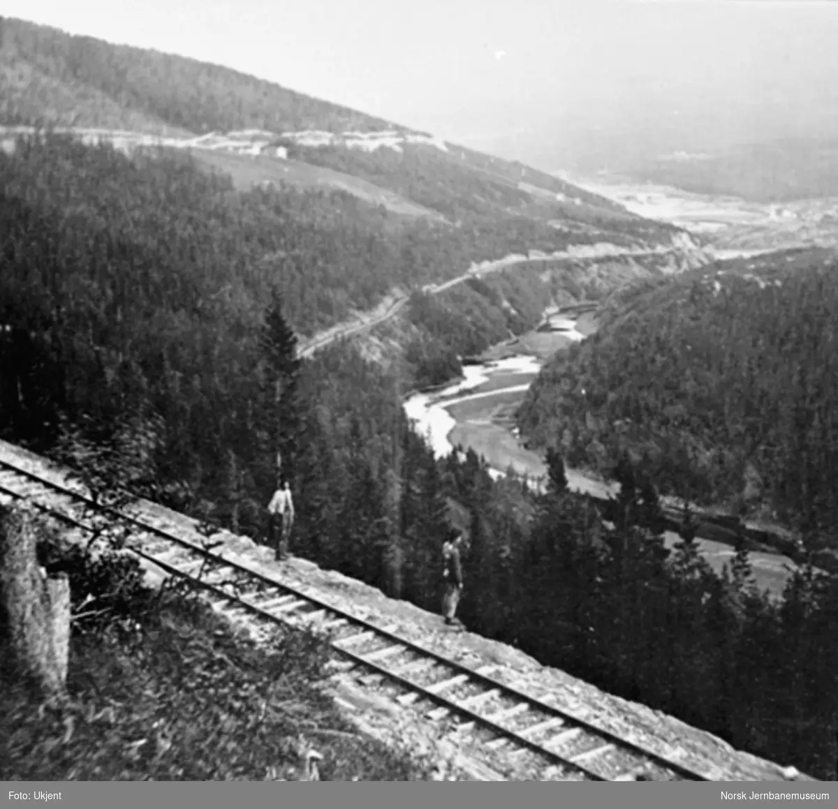 Jernbanelinjen ved Tamlaget