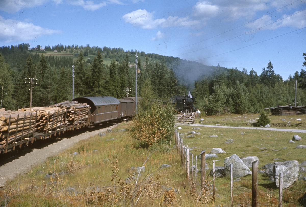 Damplokomotiv type 30b nr. 347 med godstog retning Eina