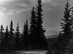 V/ Breidablikk  Valdres