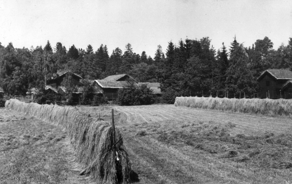 Setesdalstunet på Norsk folkemuseum, 1944.