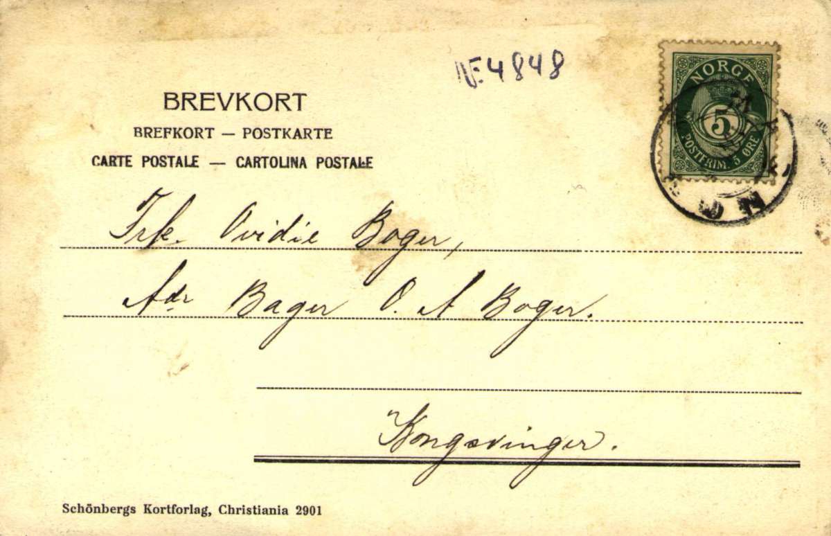 Postkort. Parti fra Magnor. Datert 13.08.1905.