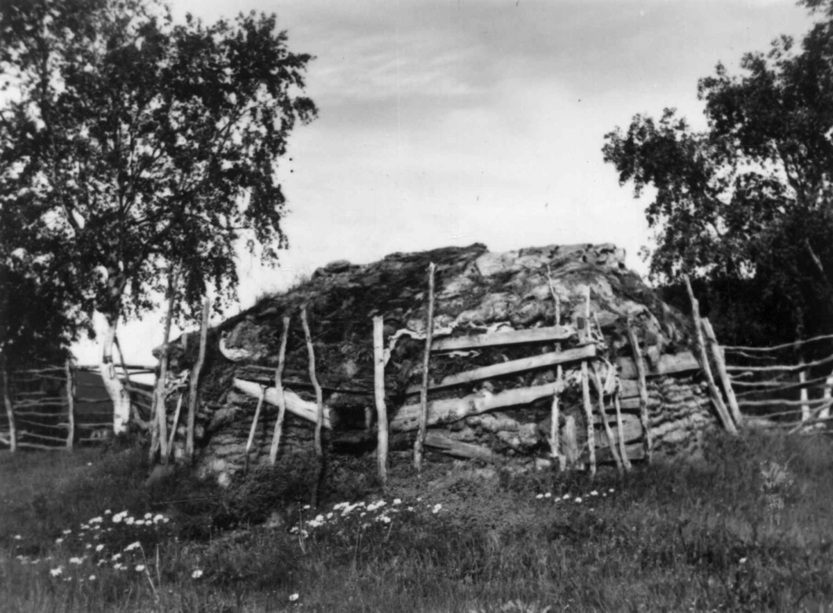 Inngjerdet sommerfjøsgamme, Levajokgiedde 1952.