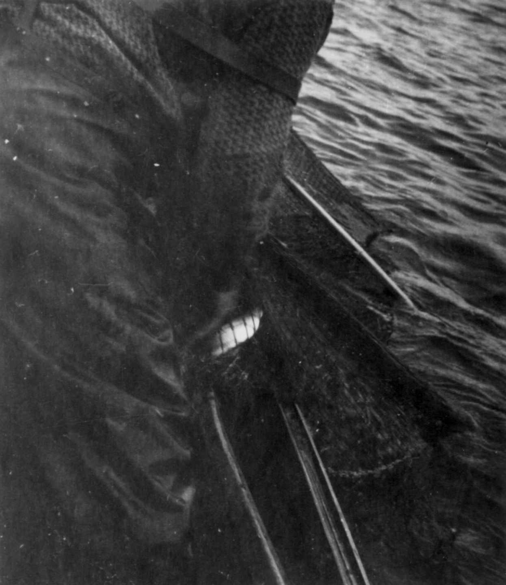 En person i båt drar inn nota. Ålloluokta 1948.