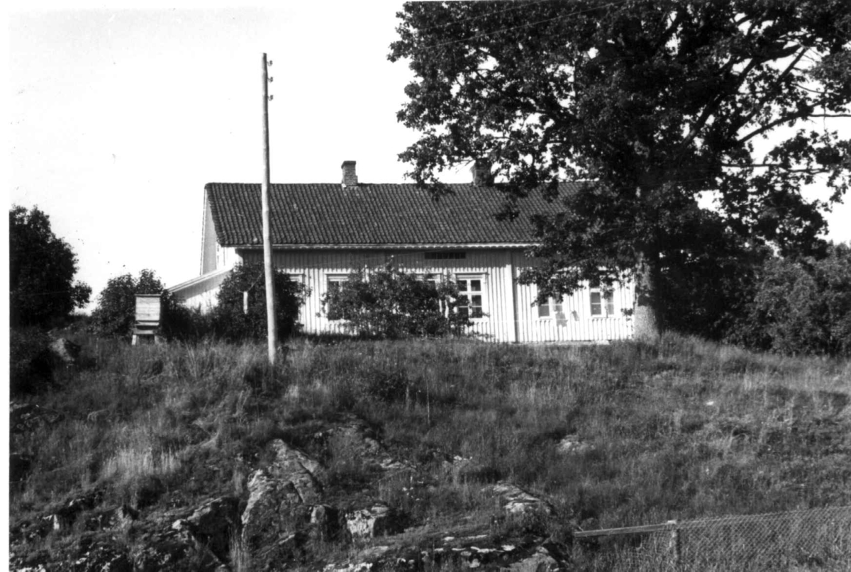 Tolsby
Fra dr. Eivind S. Engelstads storgårdsundersøkelser 1954.