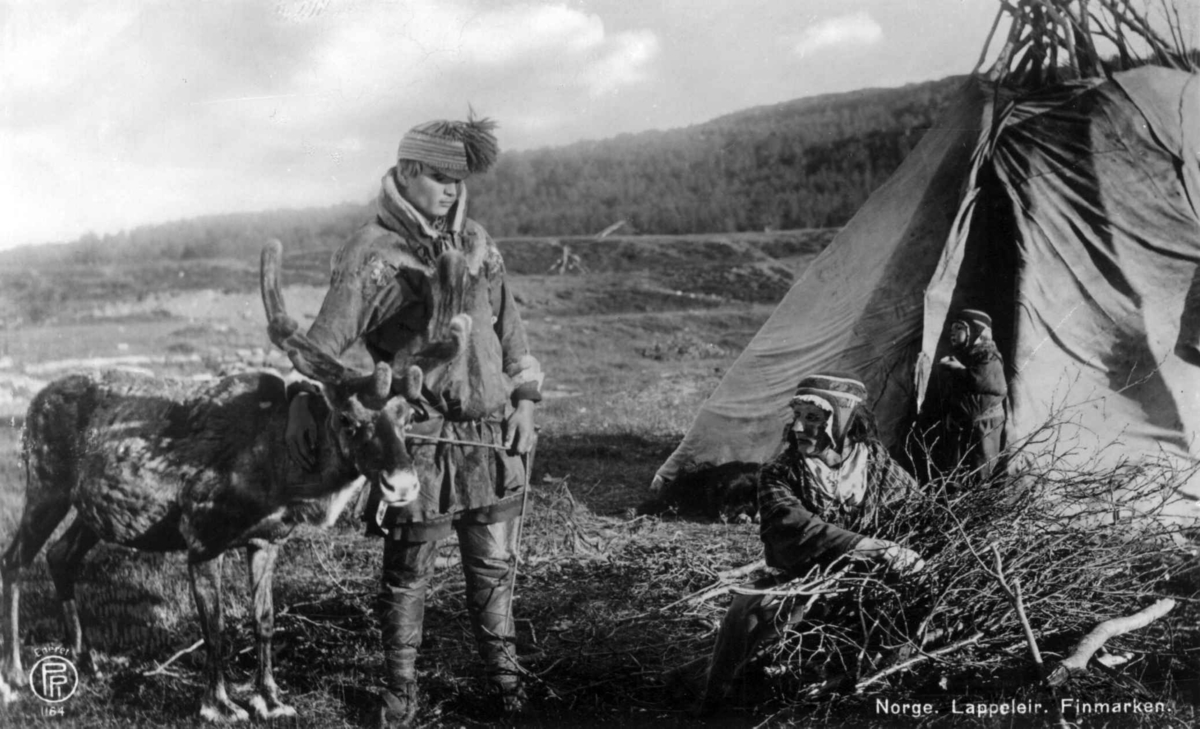 Sameleir, Finnmark. Samer foran et telt. Mannen står ved siden av et reinsdyr. Kvinnen samler sammen småkvist. Et barn står i teltåpningen.