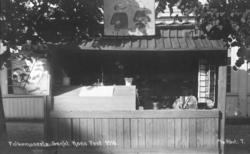 St. Hans fest på Norsk Folkemuseum i 1916. To damer sitter i