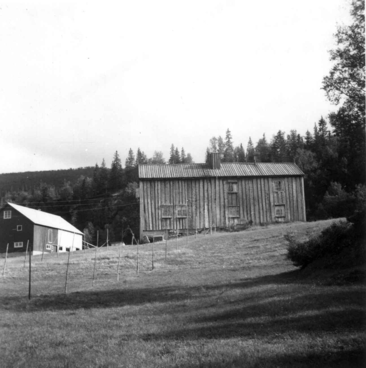 Gård i Rana, 1954.