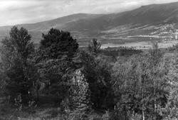 Geilo, Hallingdal. Oversiktsbilde over bygda, skog,
åser og