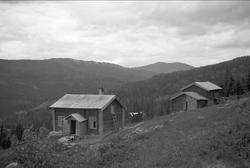 Gården Ligardshaugen, Eggedal. 1939. Oversiktsbilde over tun