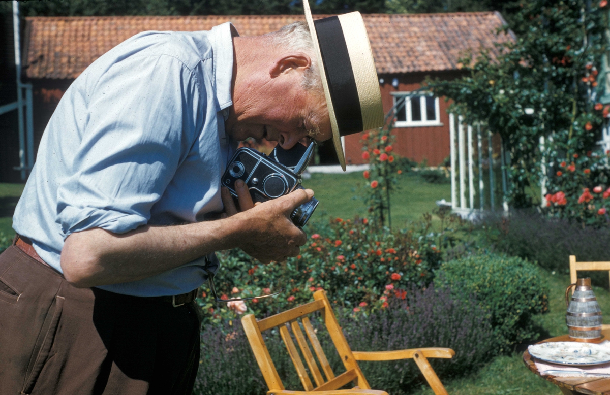 "Erigerons have". Thaulow med sitt Hasselblad kamera i sommerhagen.