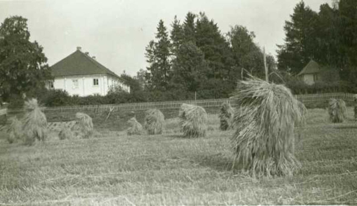 Hovedbygning og havepaviljong, Grinder, Grue, Hedmark. Fotografert 1935. Jorde med høystakker i forgrunn.