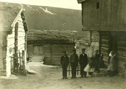 Gårdstun, Tordhol, Lesja, Oppland. Kvinne og seks barn i for