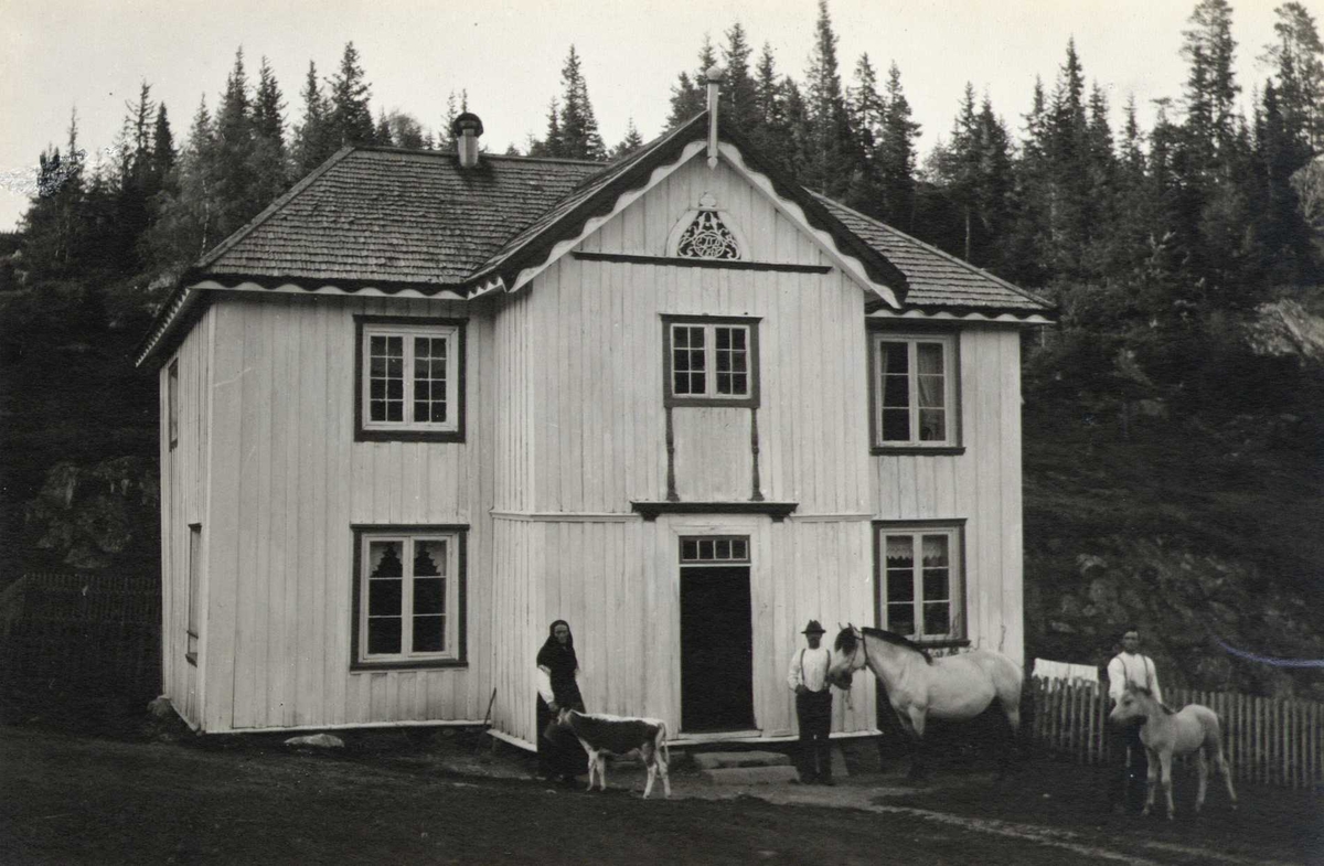 Hovedbygning, Donstad, Morgedal, Kviteseid, Telemark. Kvinne og to menn med husdyr poserer i forgrunnen. Fotografert 1916.