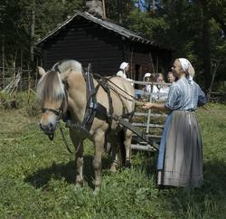 Levendegjøring på museum.Ferieskolen uke 31. Høyet kjøres i