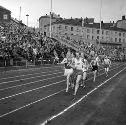 Serie. Friidrett på Bislett, Oslo. Det settes rekord på 1500