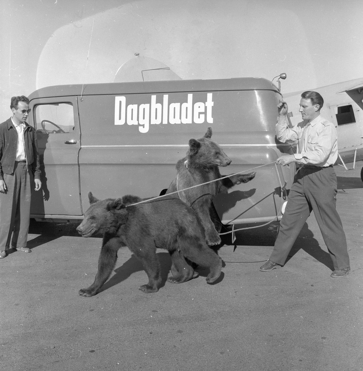 To bjørner sammen med to menn og Dagblad-bilen på Ekeberg.
Fotografert 1959.