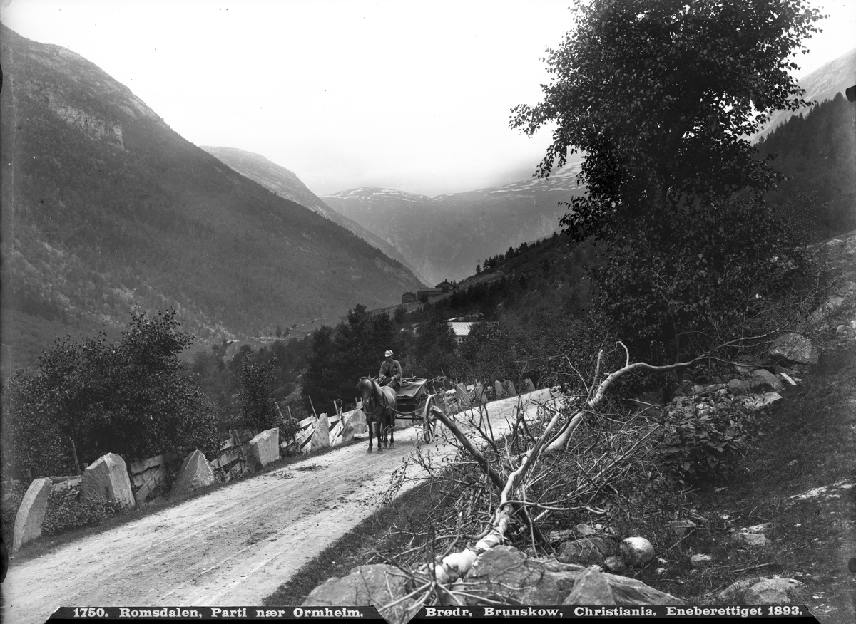 Mann med hest og vogn på smal vei med kantstein, ved Ormheim i Møre og Romsdal.