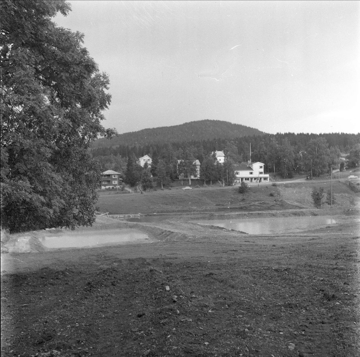 Ørretdammene i Lier, oppdrettsfisk, Buskerud, 01.08.1958
