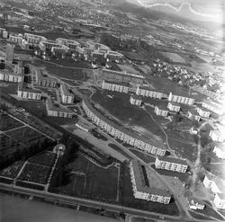 Oslo, 02.05.1959. Flyfoto fra innfartsveier og drabantbyer.