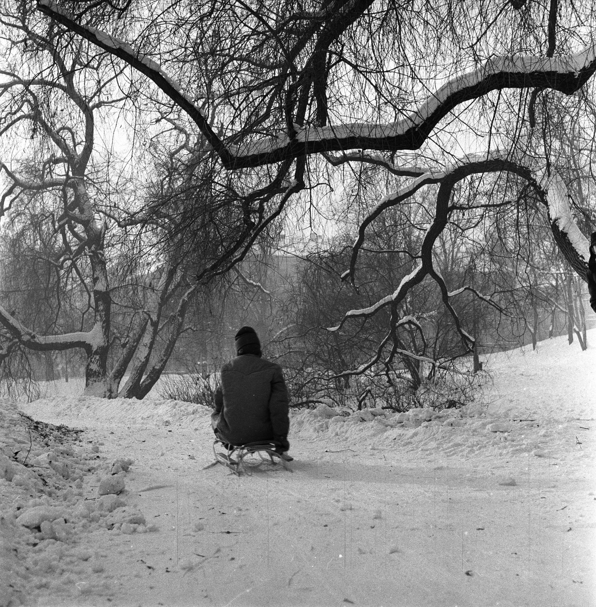 St. Hanshaugen, Oslo, 28.01.1956. Den nye akebakken.