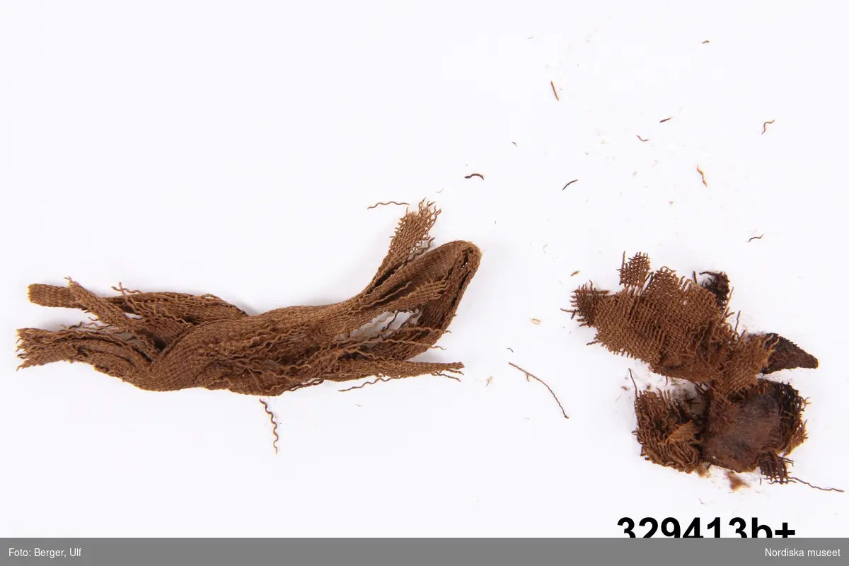 Kuriosum, från mumie.
a+) Träflisor av murket ljust trä. 
b+) Textilfibrer från svepning, små bitar av mörk väv. 

Ingår i samling minnessaker, souvenirer, som ursprungligen förvarats i pappask 329,408+ som innehöll omslag av papper (329.409) innehållande läderbit från stol (329.410) och textilfragment från sängomhänge (329.411) från Erik XIV, bit från Erik XIVs säng (329.412) och trä- och textilfragment från mumie (329.413a-b). 

Minnessakerna i asken är exempel på 1800-talets souvenirjakt, då det var populärt att samla på sig historiska minnesföremål från historiska personer och/eller platser. Just dessa delar fråm en mumie kan också vara rester av äldre mediciner från apoteket som givaren innehade, då pulvriserade mumier tidigare användes som medicin.

Föremålen funna omärkta vid flytt av magasin 2004. Ingick troligen i en sändning från Apotekaren C. J. Marelius, Visby, 30 juni 1888, ur vilken då endast 3 apotekskärl togs in i samlingarna.
/Heidi Henriksson 2007-03-30