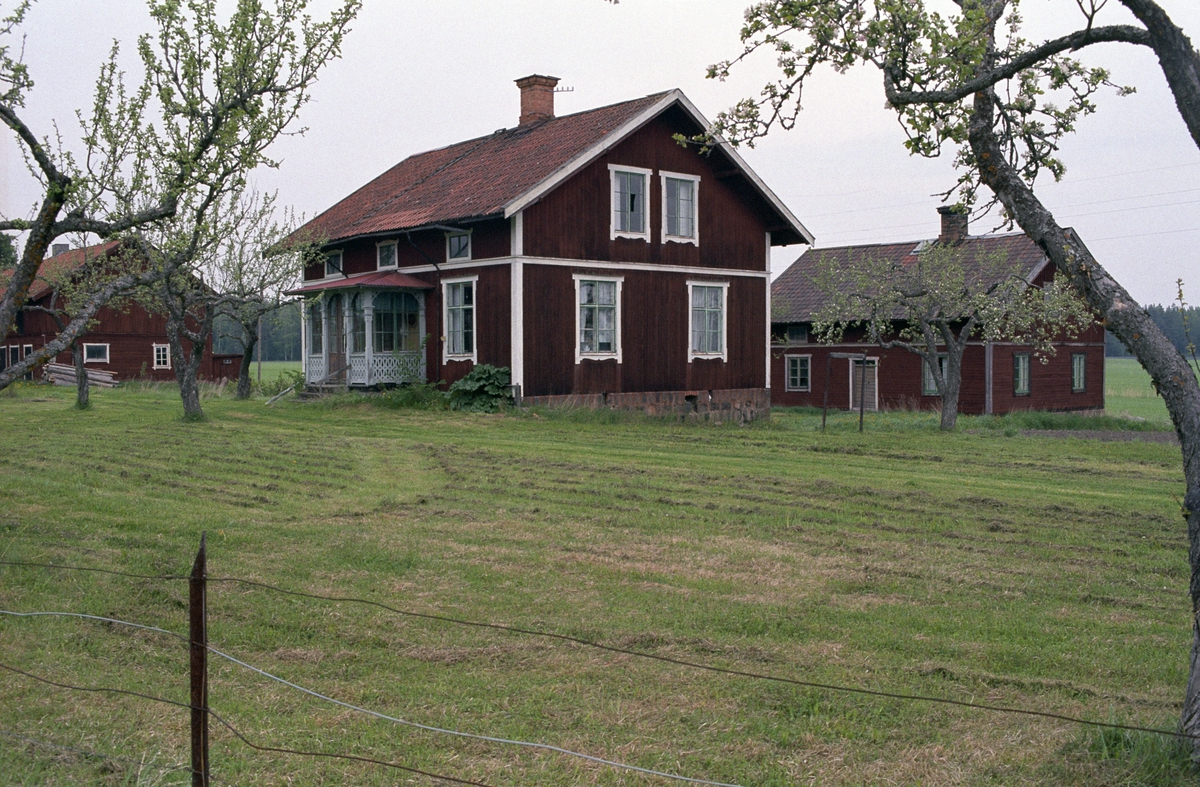 Gårdsmiljö, Åby, Morkarla socken, Uppland 1996
