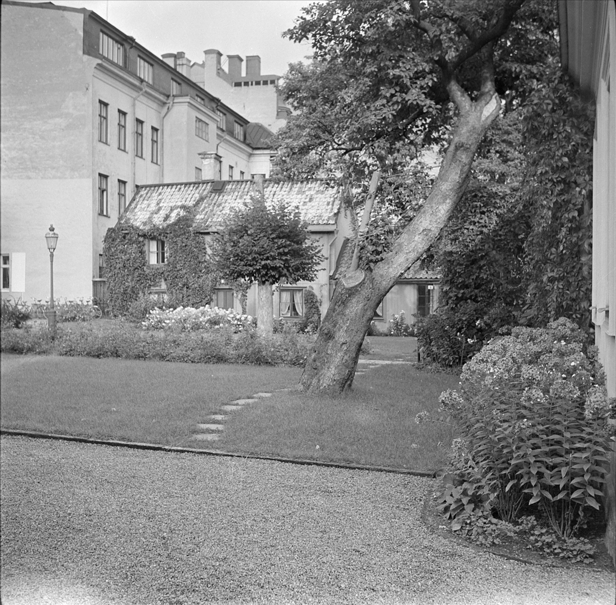 Landstingsbyggnad med gårdsinteriör på Nedre Slottsgatan i kvarteret Trädgården, stadsdelen Fjärdingen, Uppsala 1959