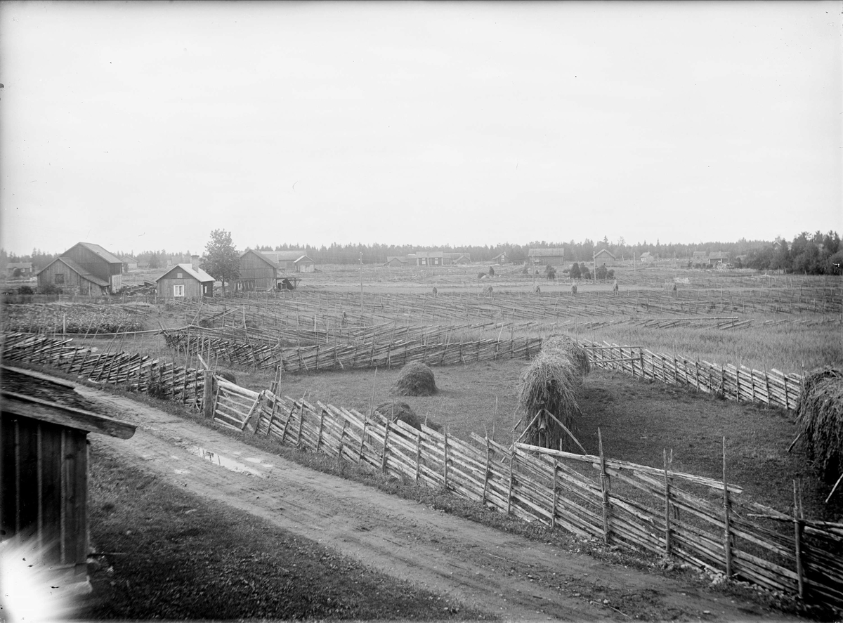 Bymiljö i Hållen, Hållnäs socken, Uppland, sannolikt 1920-tal