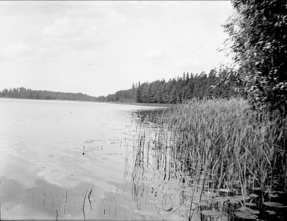 Gillfjärden vid Uddeboö, Estuna socken, Uppland juli 1927