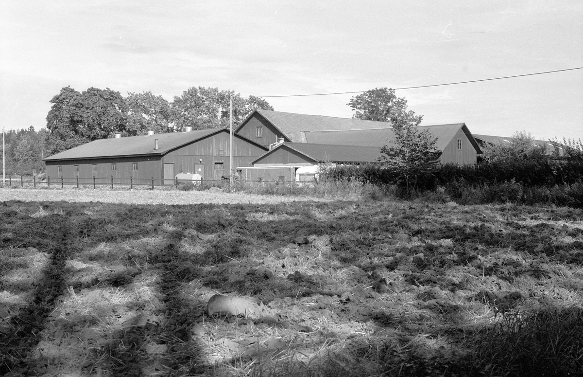 Ekonomibyggnader, Åloppe, Bälinge socken, Uppland 1983