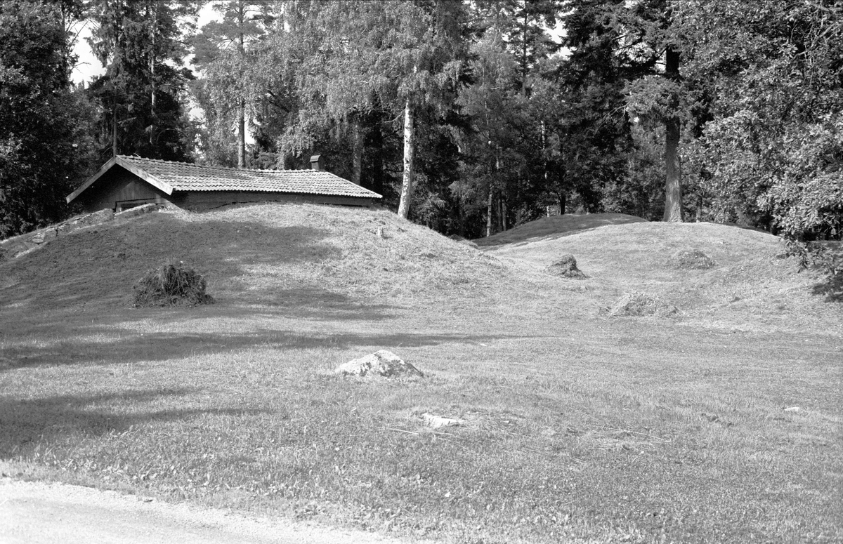 Källare, Gråmunkehöga 3:1, Gråmunkehöga, Funbo socken, Uppland 1982 