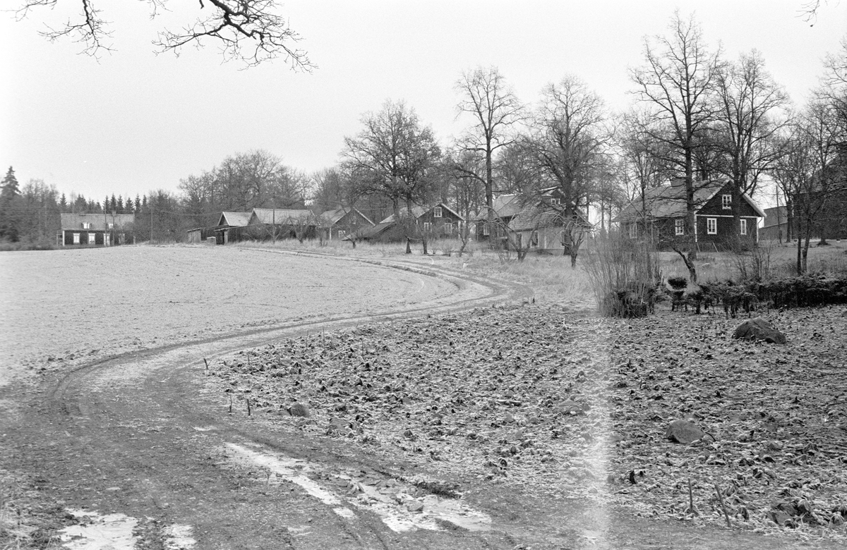 Ekonomibyggnader och bostadshus, Frötuna gård, Rasbo socken, Uppland 1982