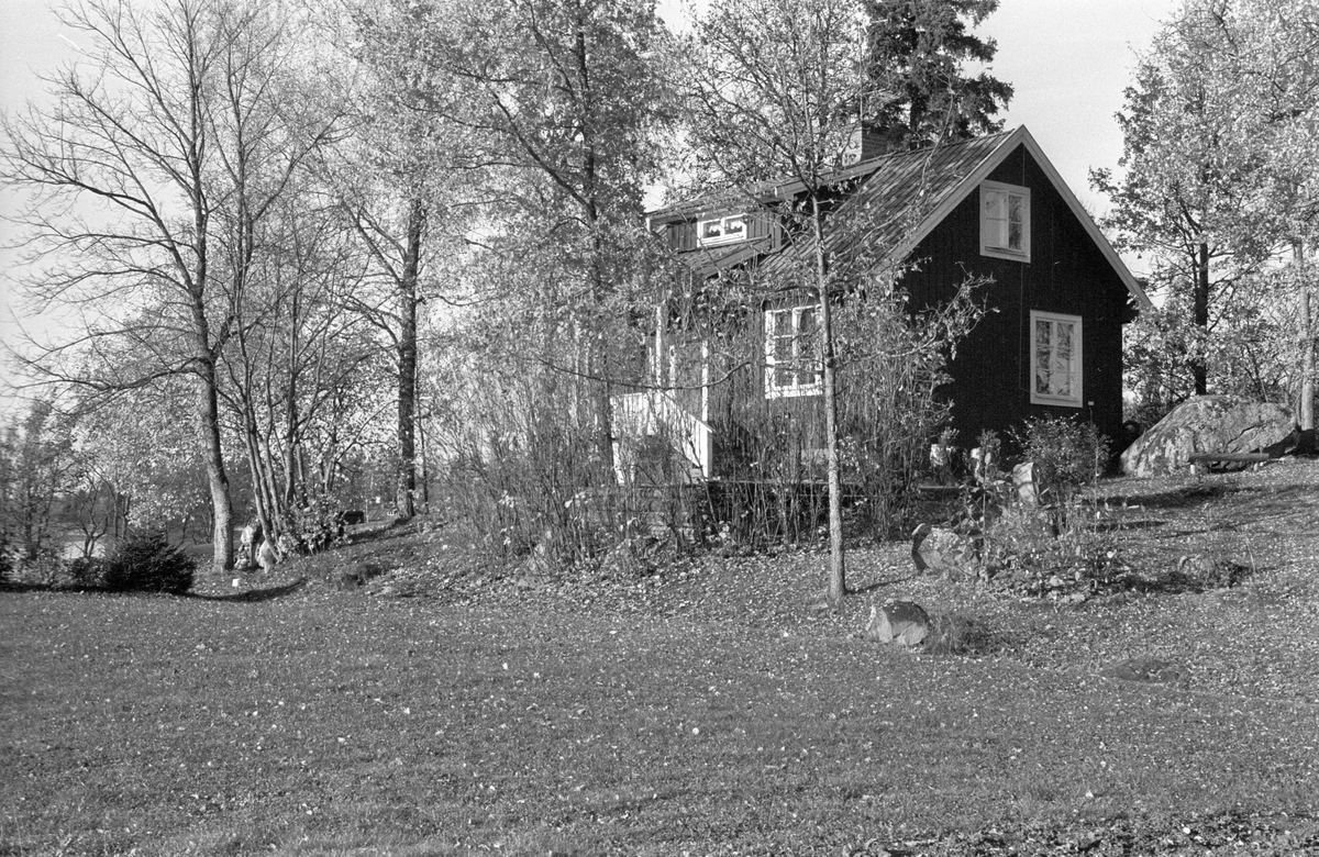 Bostadshus, Björkbacken, Hammarskog, Dalby socken, Uppland 1984