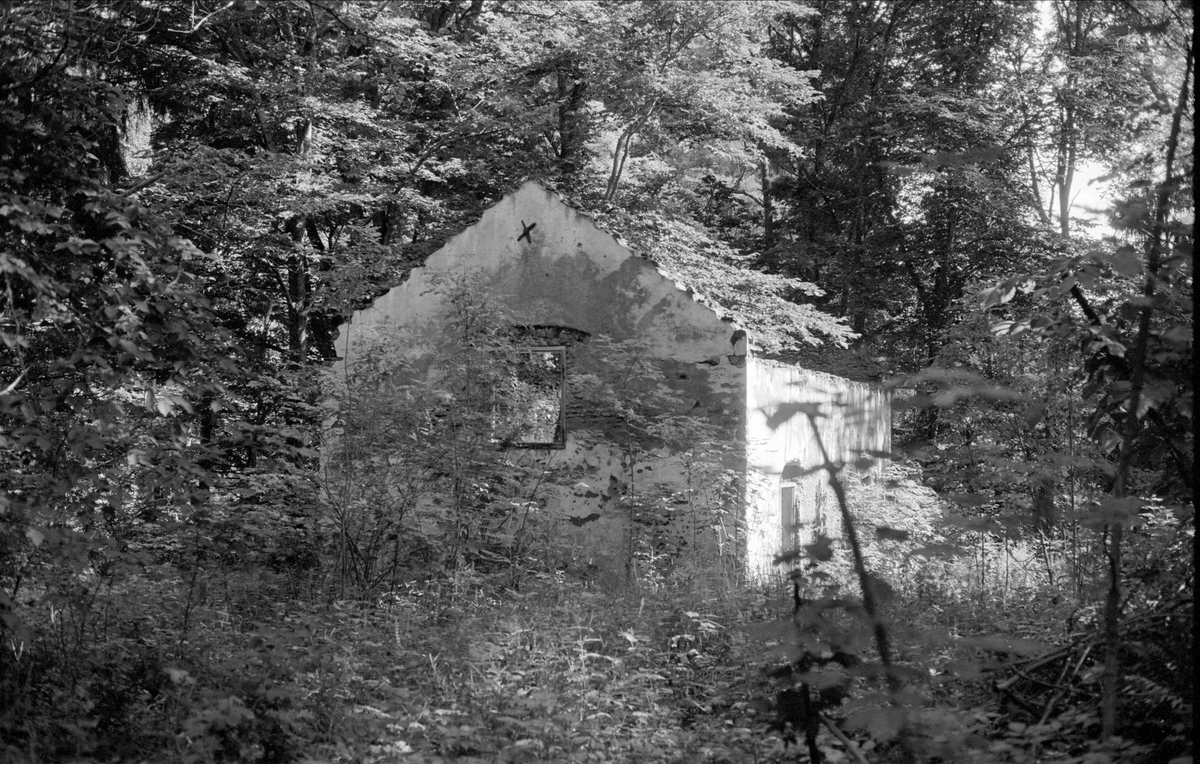 Ruin, Bennebols bruk, Bladåkers socken, Uppland 1987 - Upplandsmuseet ...