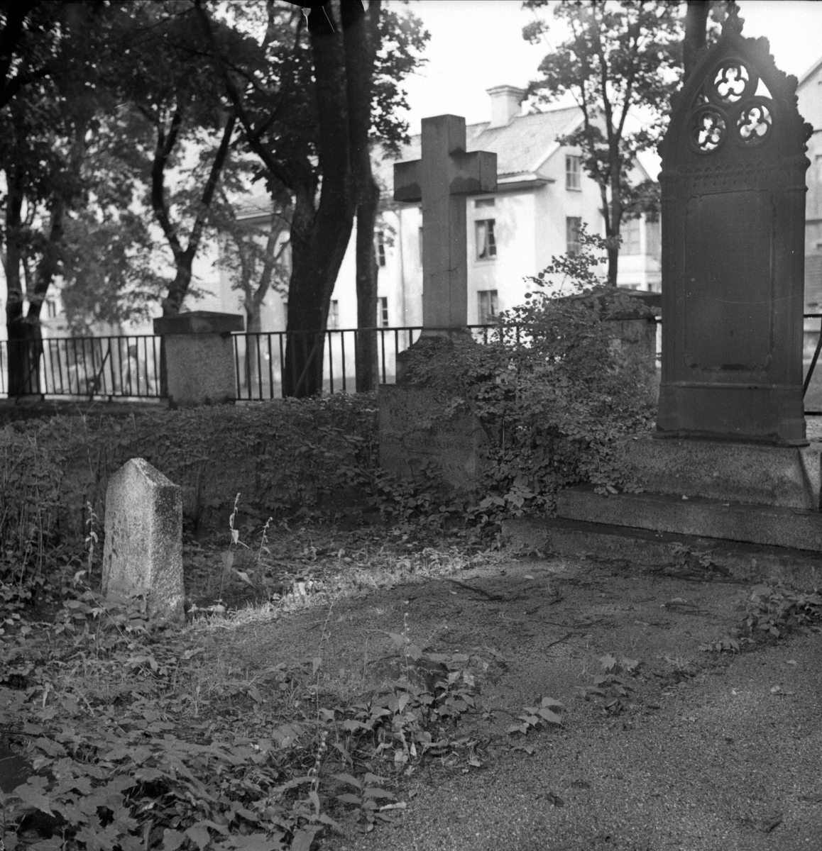 Misskötta gravar på Uppsala gamla kyrkogård, augusti 1949