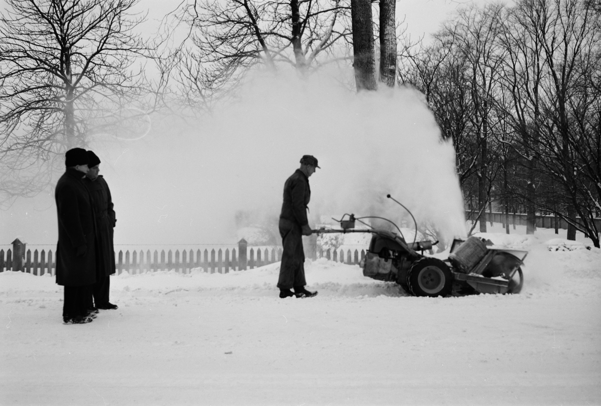 Vinter - snöslunga, sannolikt Uppsala 1953