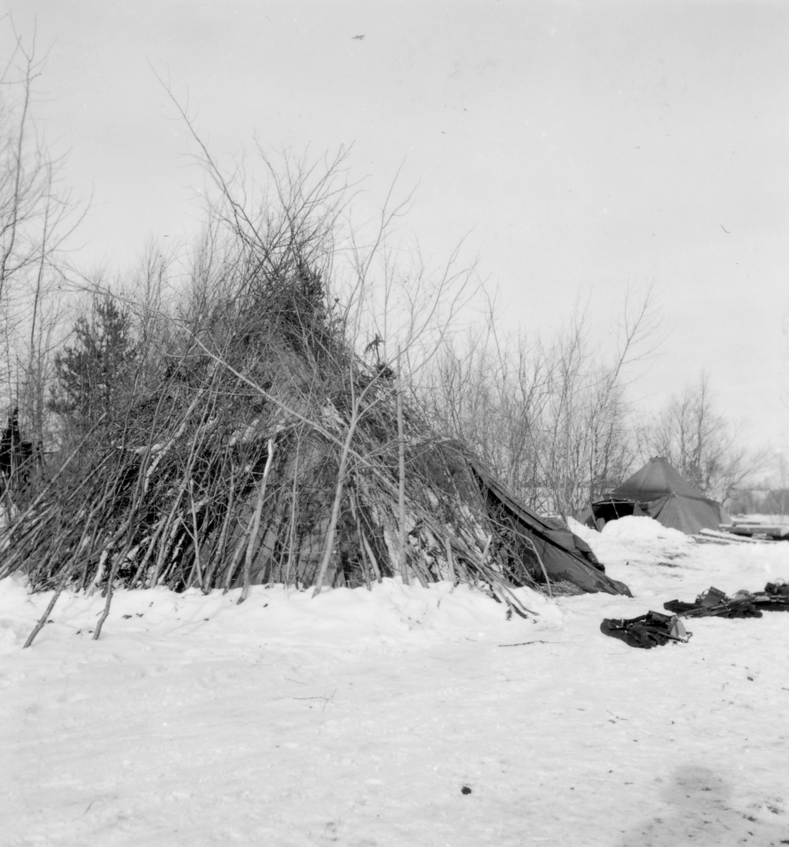 Kamouflerat tält vid Delsbomanövern, 1938.