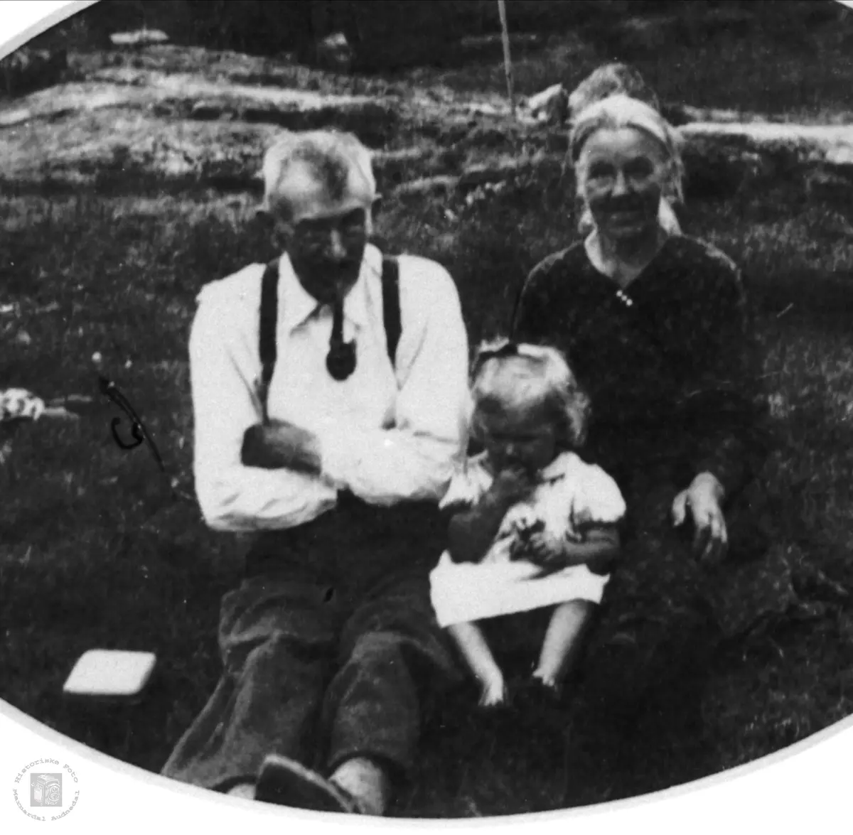 Familiebilde av familien Ødegård, Øyslebø.
