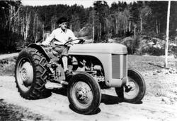 Ferguson "Gråtass" på Fidjestøl, Øyslebø.