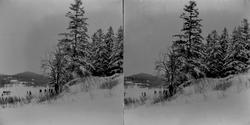 Skovbryn i vinterdragt ved Kristiania