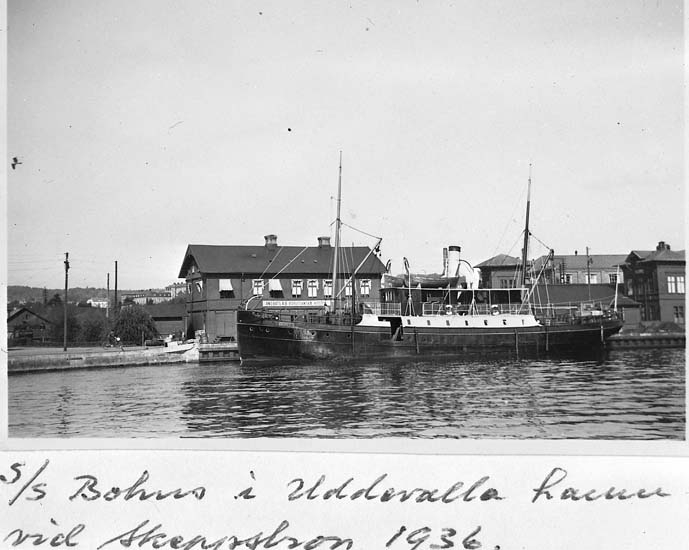 Text på kortet: "s/s "Bohus" i Uddevalla hamn vid skeppsbron 1936".


