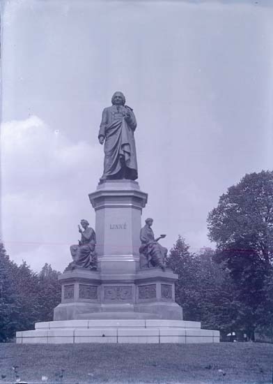 Enligt text som medföljde bilden: "Stockholm, Linnés staty 3/6 1905."