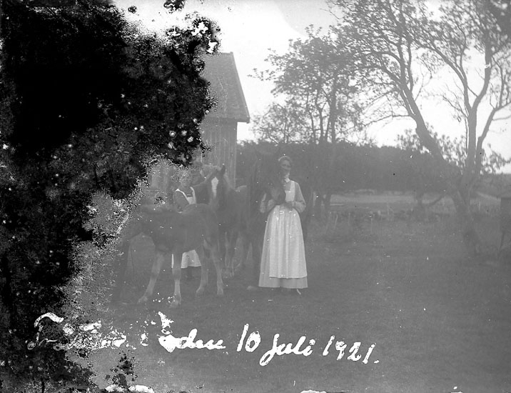 Enligt notering: "Familj med hästar, 10 juli 1921".