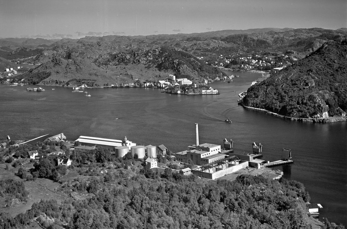 Egersund, havn, sildoljefabrikk, Sildefiskernes fabrikklag
