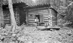 tømmerkoje, mann, skog