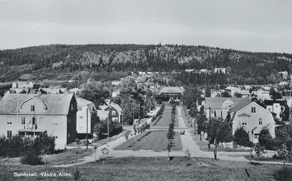 Billdtext till vykortet "Sundsvall. Västra Allén." Gatan heter numera Örnsköldsallén. I fonden Västra Domsaga. Taget från Sveavägen och norrut.