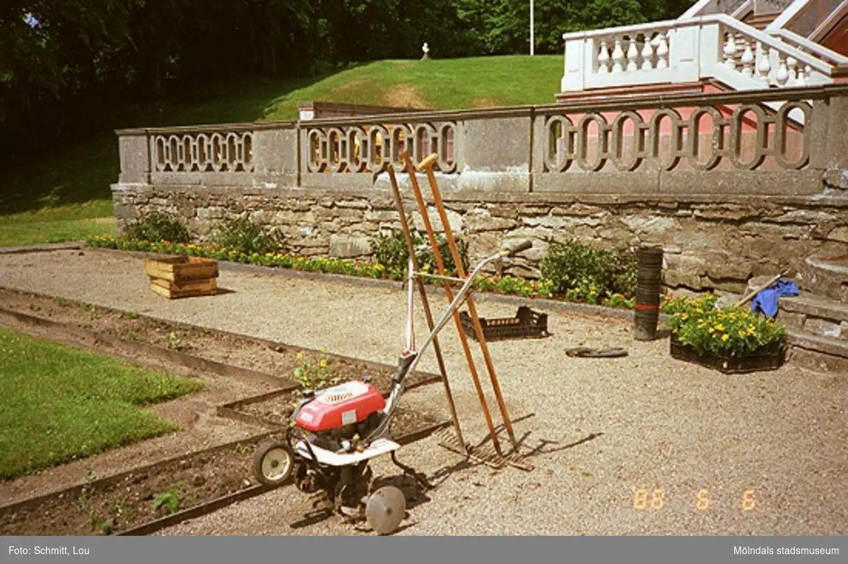 Trädgårdsarbete vid Gunnebo slott, 1988.